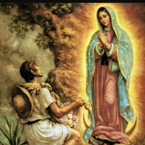 Meet your Posher, Marisela